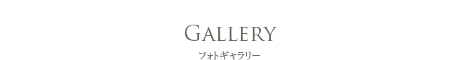 Gallery フォトギャラリー