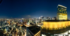 現地21階から南西方面を望む（夜景）