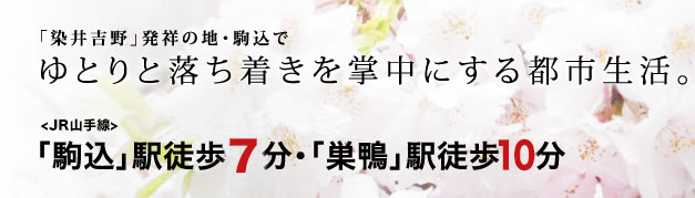 「染井吉野」発祥の地・駒込でゆとりと落ち着きを掌中にする都市生活。