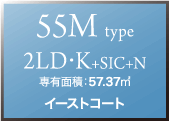 55Mタイプ