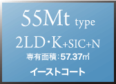 55Mtタイプ