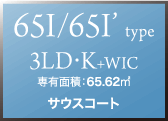 65I/65I'タイプ