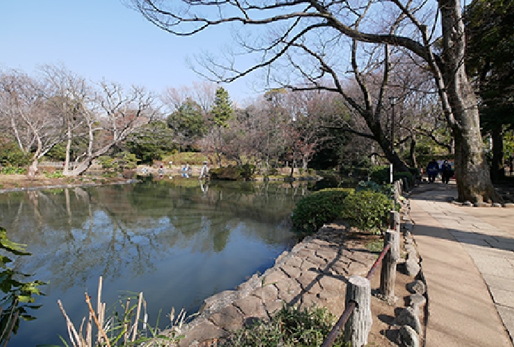 有栖川宮記念公園（物件より600m圏内）