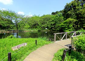 国立科学博物館附属自然教育園