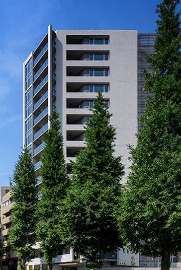 公式 Rex白金 レックス白金 共用部 三井の賃貸 レジデントファースト 公式 Rex白金 レックス白金 共用部 三井の賃貸 レジデントファースト