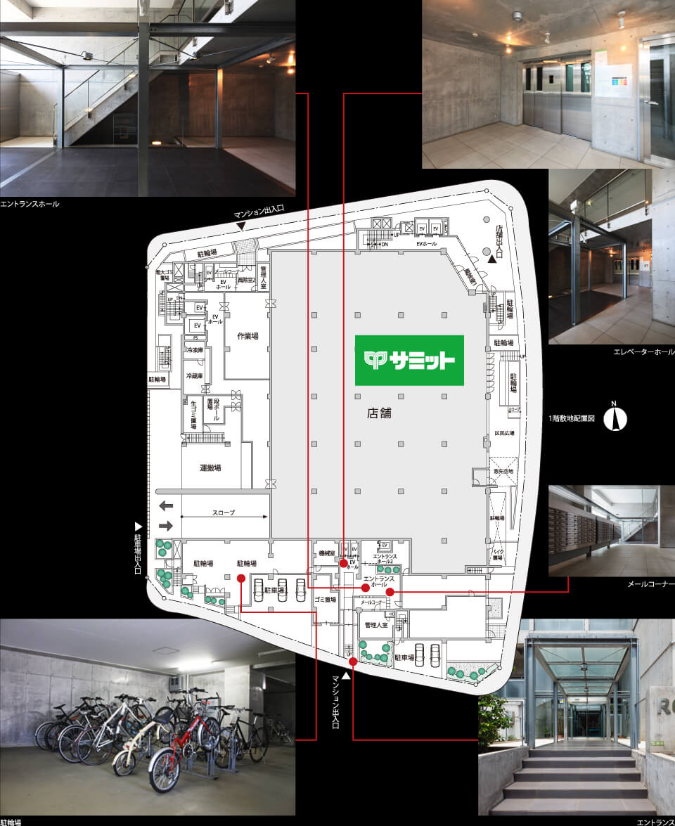 5エリア屋上には、開放感あふれるスカイガーデンを設置。