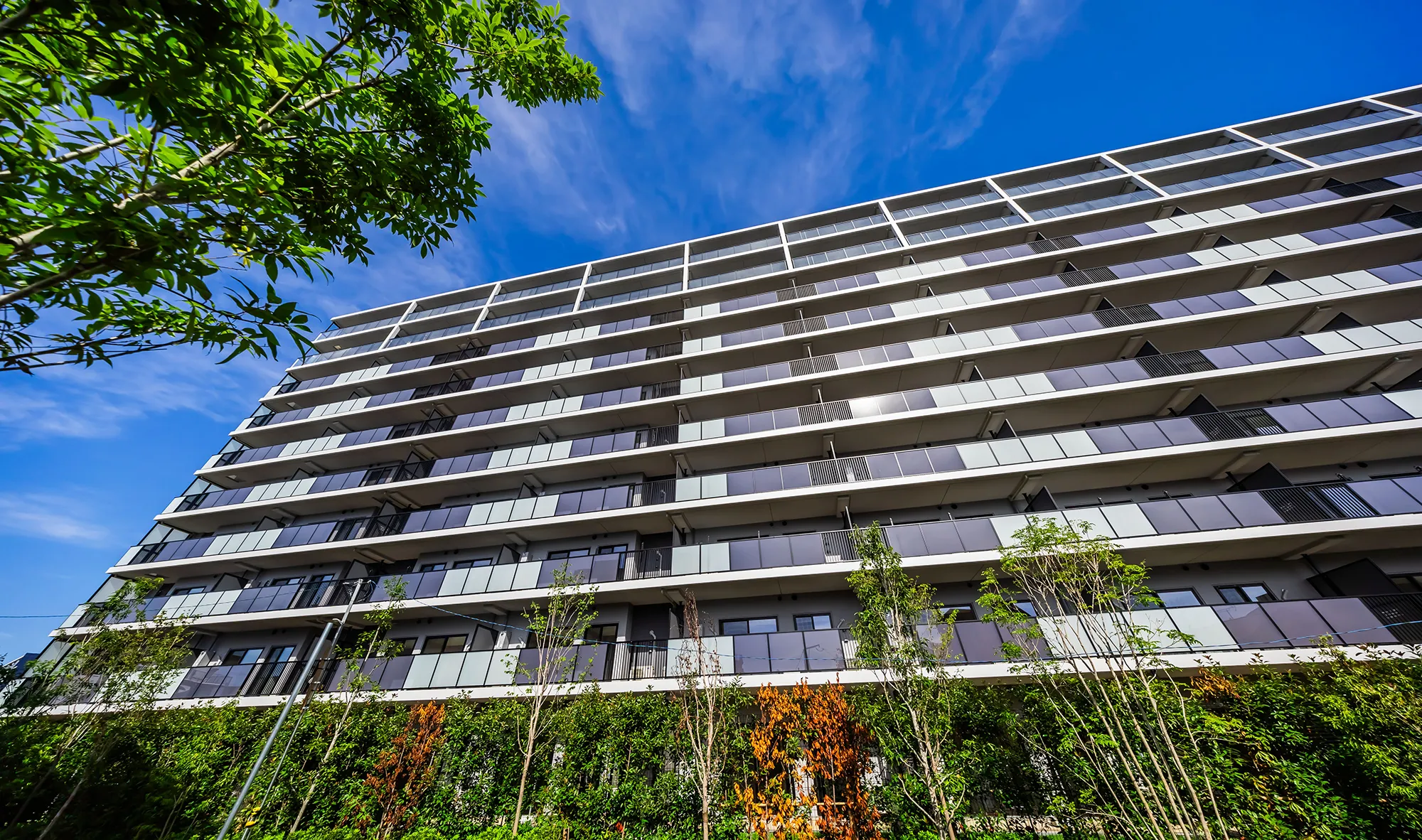 ノース棟：外観