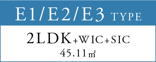 E1/E2/E3 TYPE