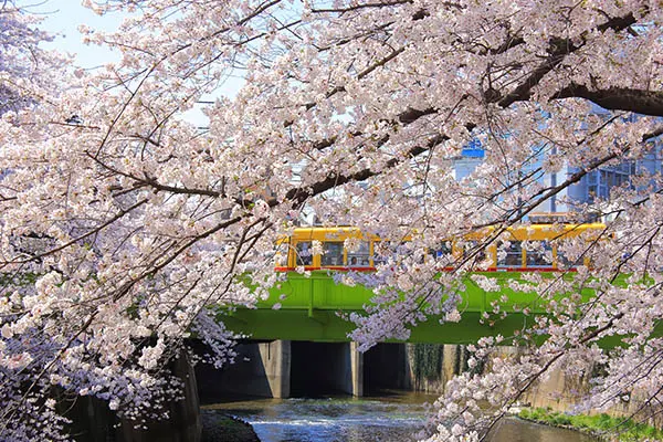 神田川