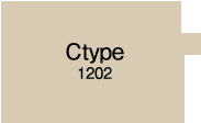 Ctype