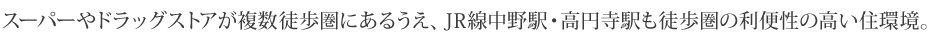 スーパーやドラッグストアが複数徒歩圏にあるうえ、JR線中野駅・高円寺駅も徒歩圏の利便性の高い住環境。